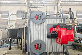 福建龍巖某薯業(yè)公司SZS8-2.5-YQ燃氣蒸汽鍋爐