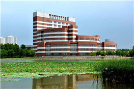 食品廠10噸燃?xì)忮仩t案例